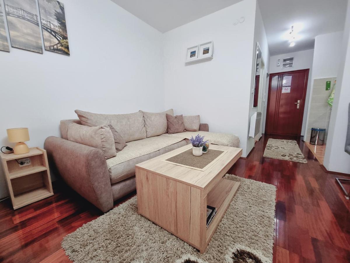 Apartman Temida Lux Vrnjačka Banja 外观 照片