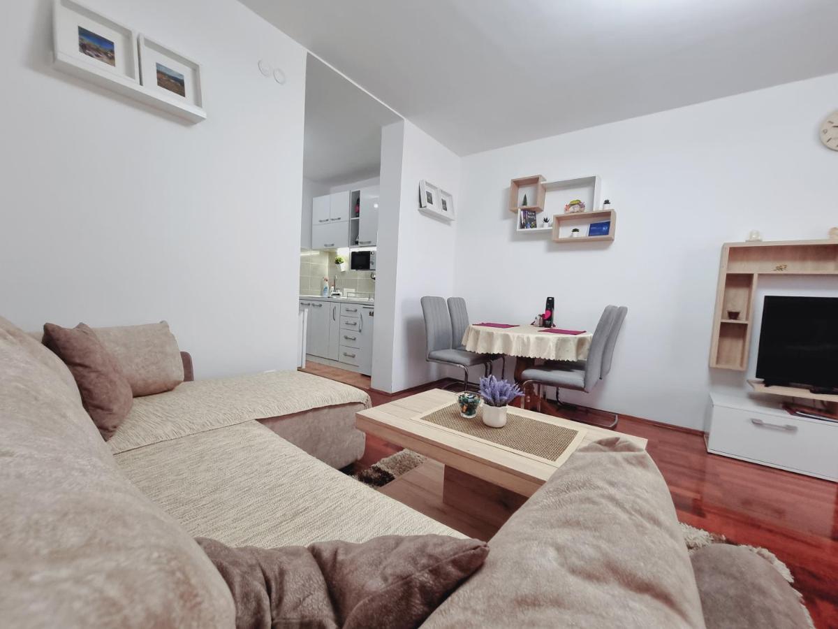 Apartman Temida Lux Vrnjačka Banja 外观 照片