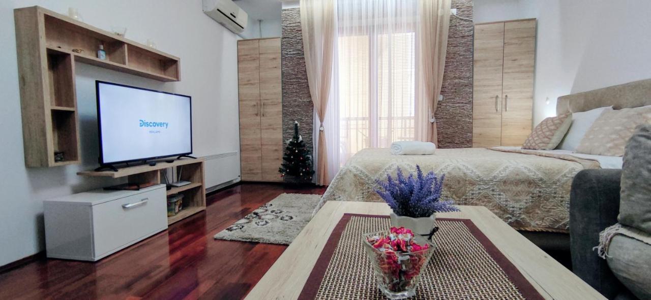Apartman Temida Lux Vrnjačka Banja 外观 照片