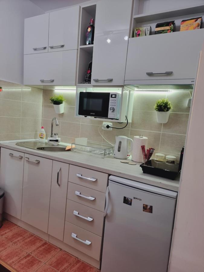 Apartman Temida Lux Vrnjačka Banja 外观 照片