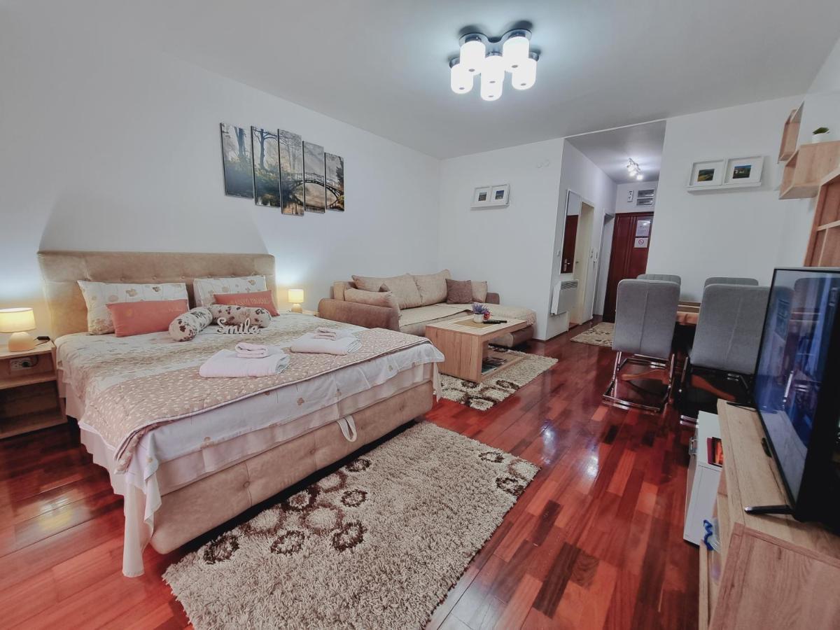Apartman Temida Lux Vrnjačka Banja 外观 照片