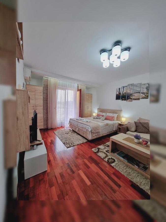 Apartman Temida Lux Vrnjačka Banja 外观 照片