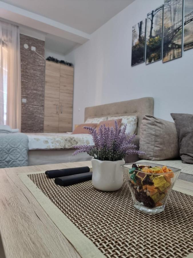 Apartman Temida Lux Vrnjačka Banja 外观 照片